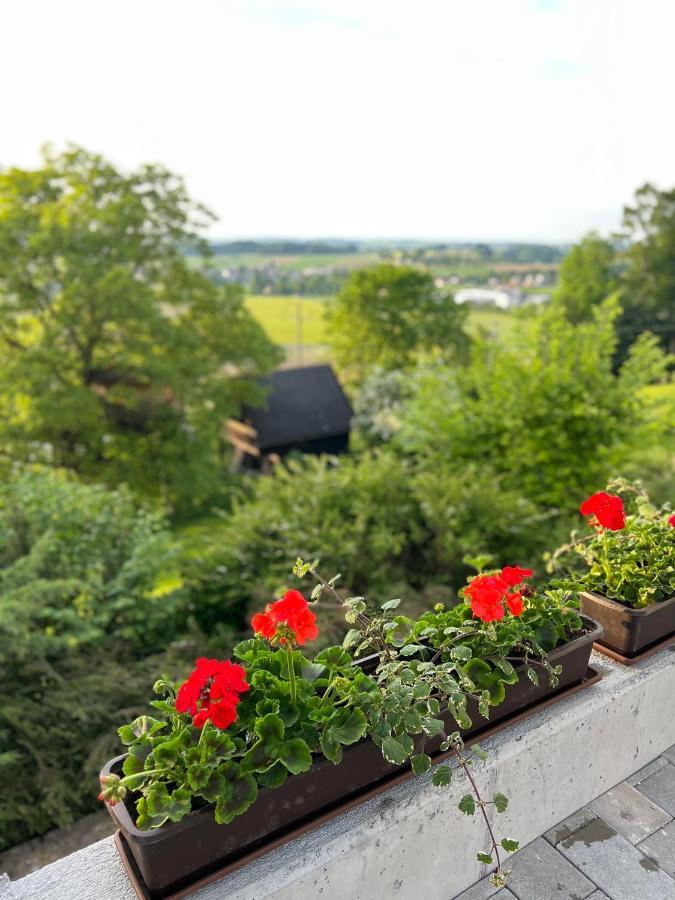 Gruenberg Apartments グムンデン エクステリア 写真